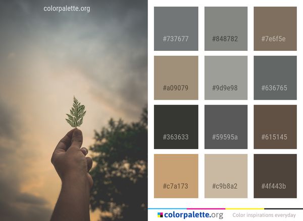 Sky Cloud Hand Color Palette