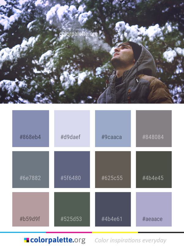 Tree Plant Woody Color Palette
