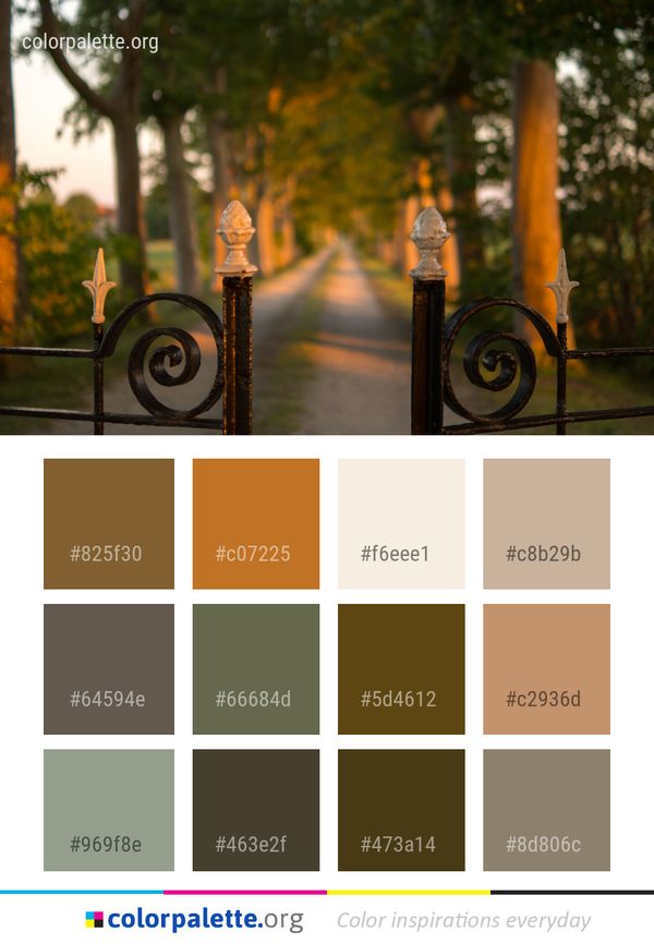 Tree Sunlight Plant Color Palette