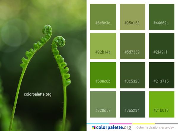 Water Leaf Macro Photography Color Palette