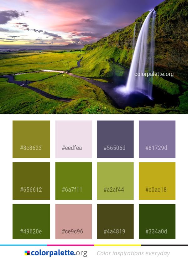 Waterfall Nature Reserve Color Palette