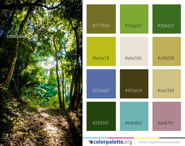 Woodland Vegetation Nature Color Palette