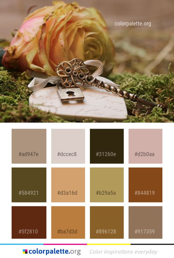 Flower Rose Family Floristry Color Palette