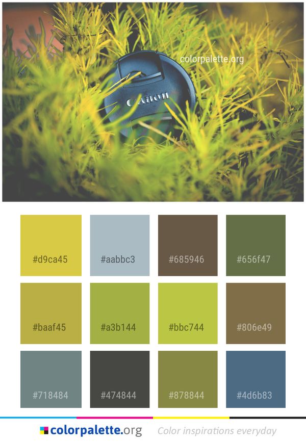 Green Yellow Grass Color Palette