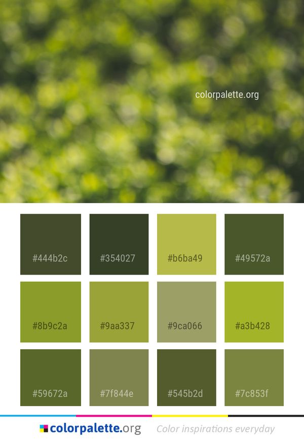 Green Yellow Vegetation Color Palette