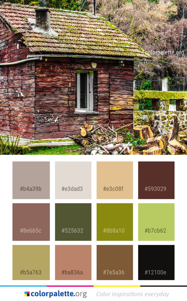 House Cottage Plant Color Palette