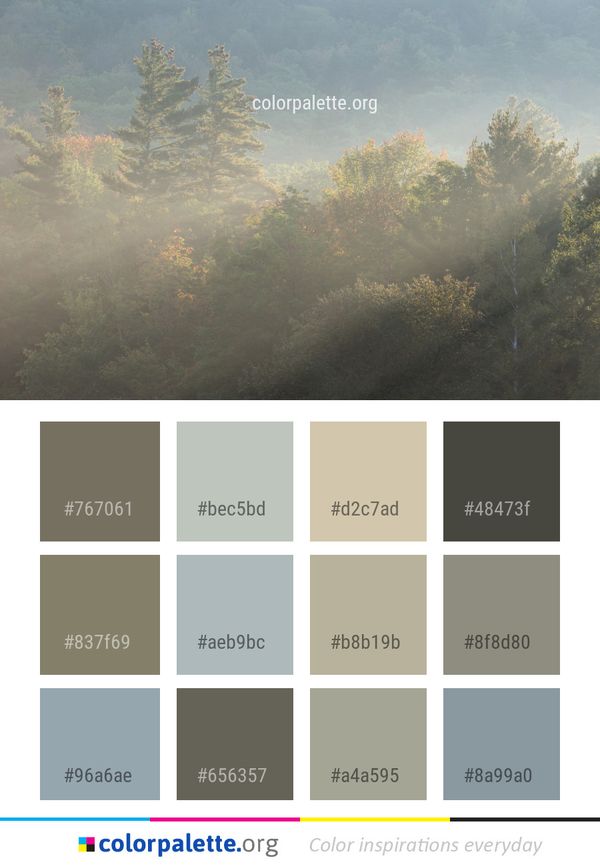 Mist Sky Ecosystem Color Palette