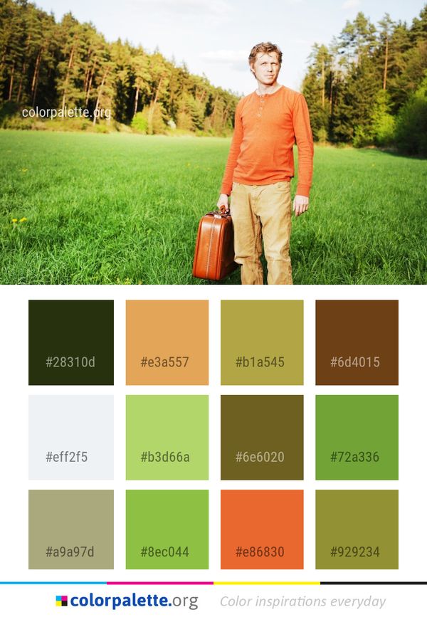 Nature Grassland Grass Color Palette