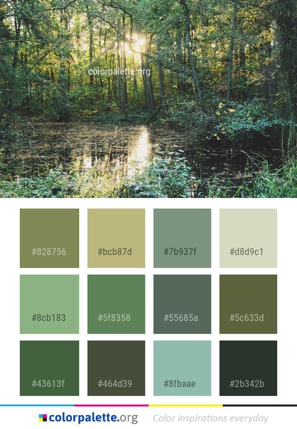Reflection Water Nature Color Palette