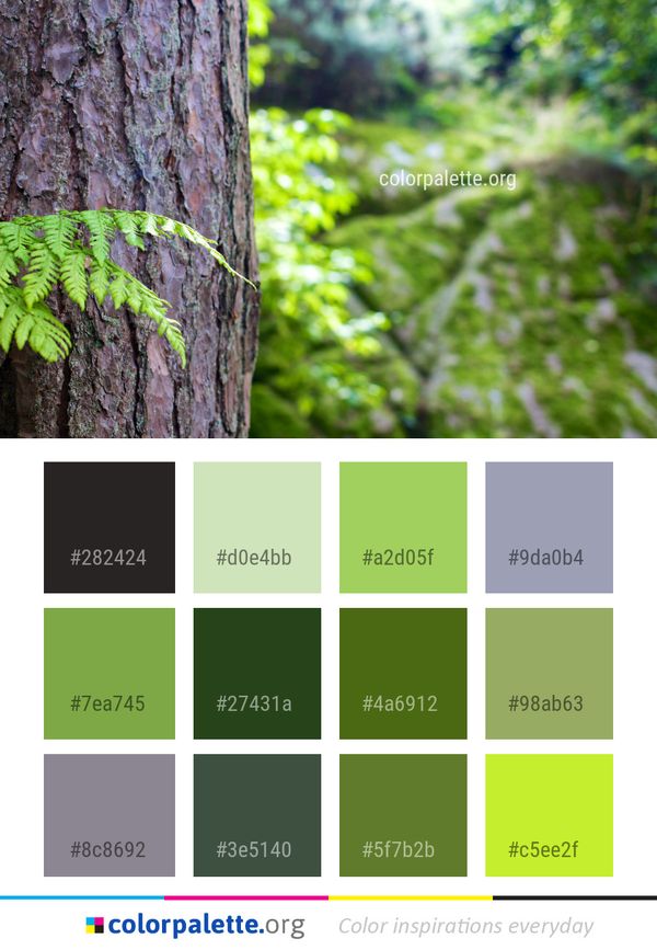 Tree Vegetation Ecosystem Color Palette