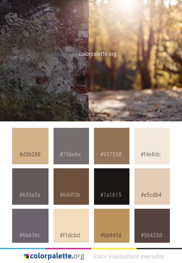 Wall Tree Sky Color Palette