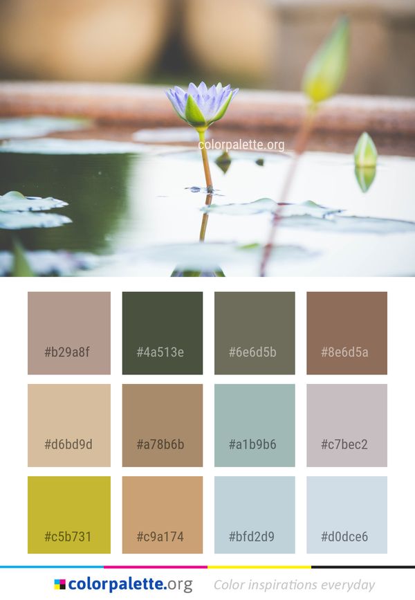 Water Flower Flora Color Palette