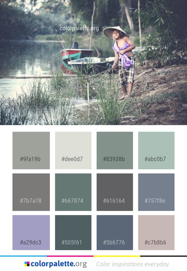 Water Nature Tree Color Palette