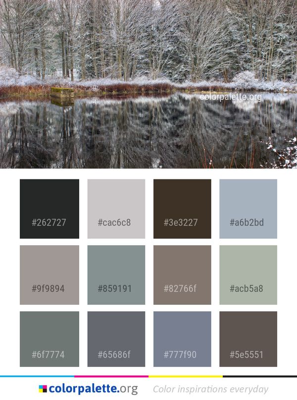Water Reflection Winter Color Palette
