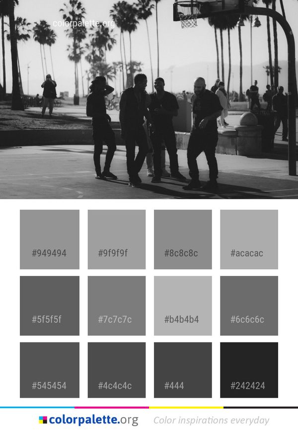 White Black Photograph Color Palette