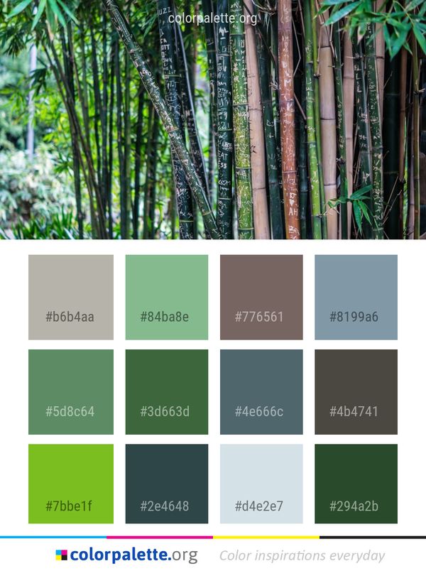 Bamboo Grass Family Tree Color Palette