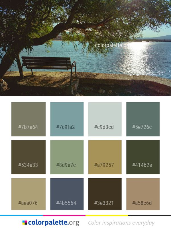 Body Of Water Tree Color Palette