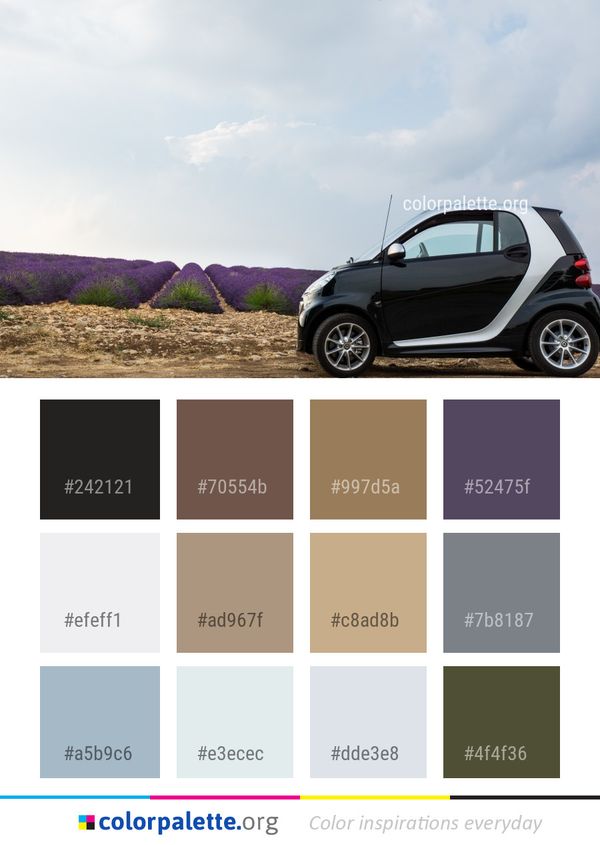 Car Motor Vehicle Color Palette