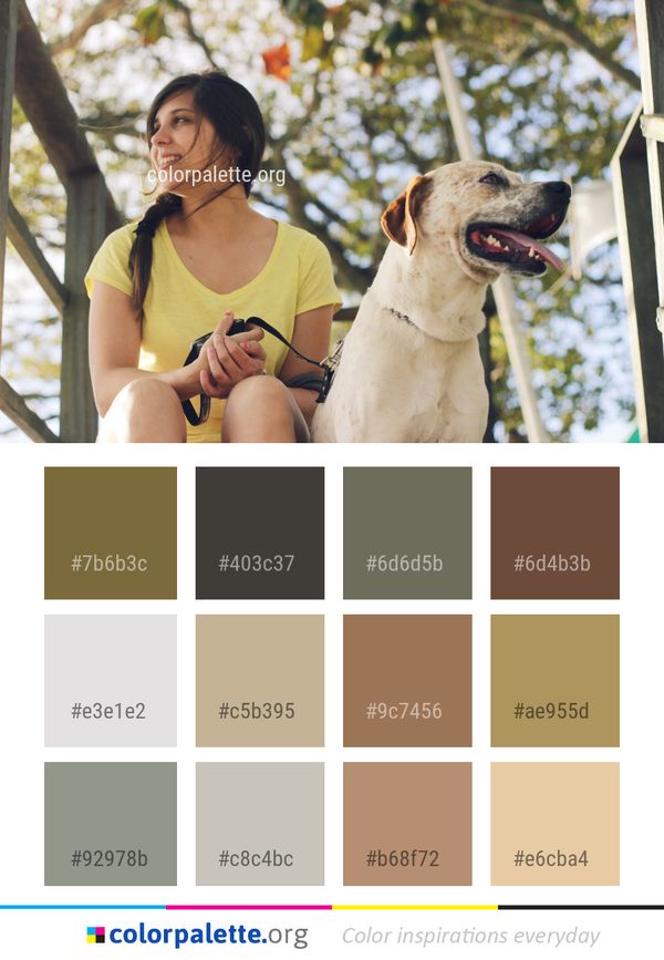 Dog Mammal Vertebrate Color Palette
