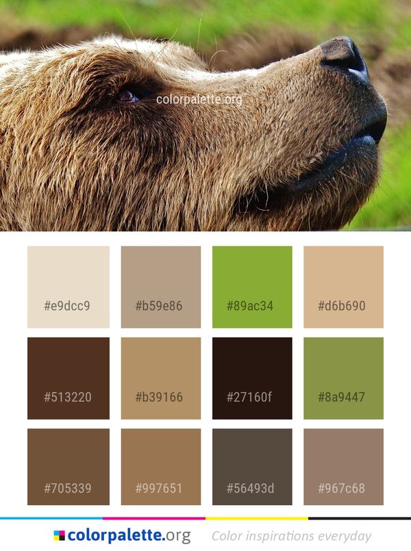 Mammal Fauna Snout Color Palette