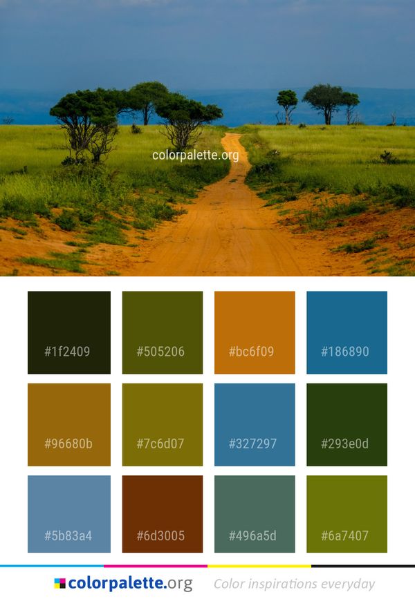 Savanna Ecosystem Sky Color Palette
