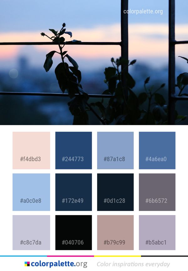 Sky Tree Morning Color Palette