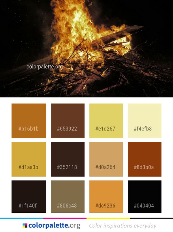 Fire Bonfire Campfire Color Palette