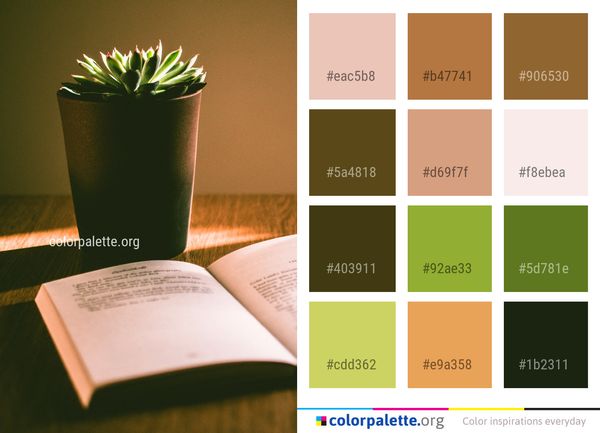 Flowerpot Plant Cactus Color Palette