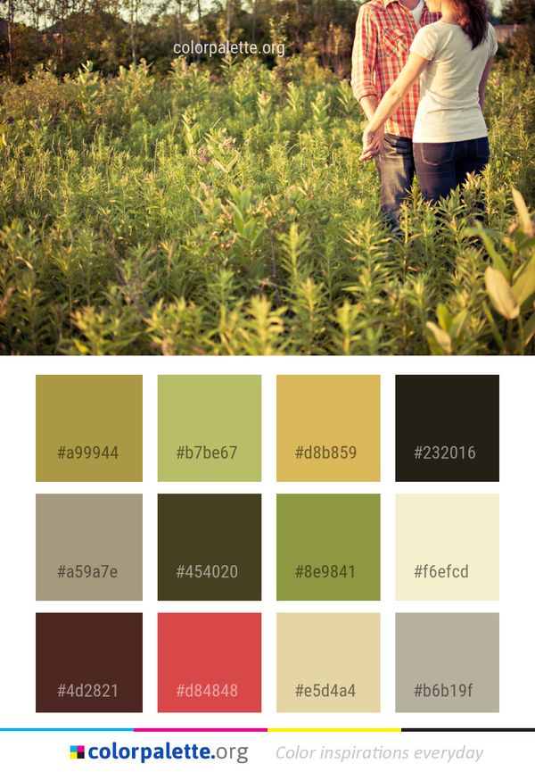 Grass Field Plant Color Palette