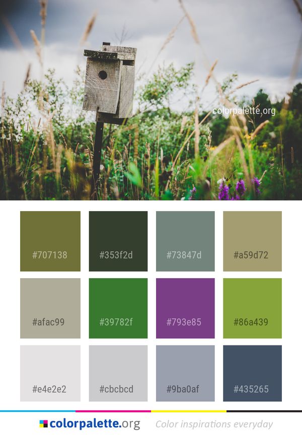 Grass Flower Family Color Palette