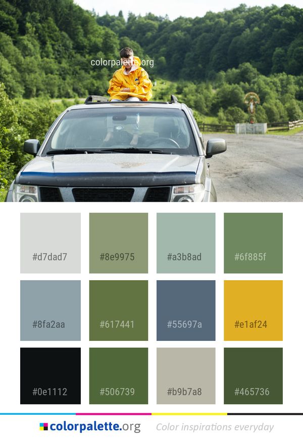 Motor Vehicle Car Color Palette