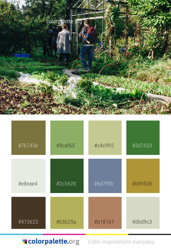 Nature Plant Reserve Color Palette