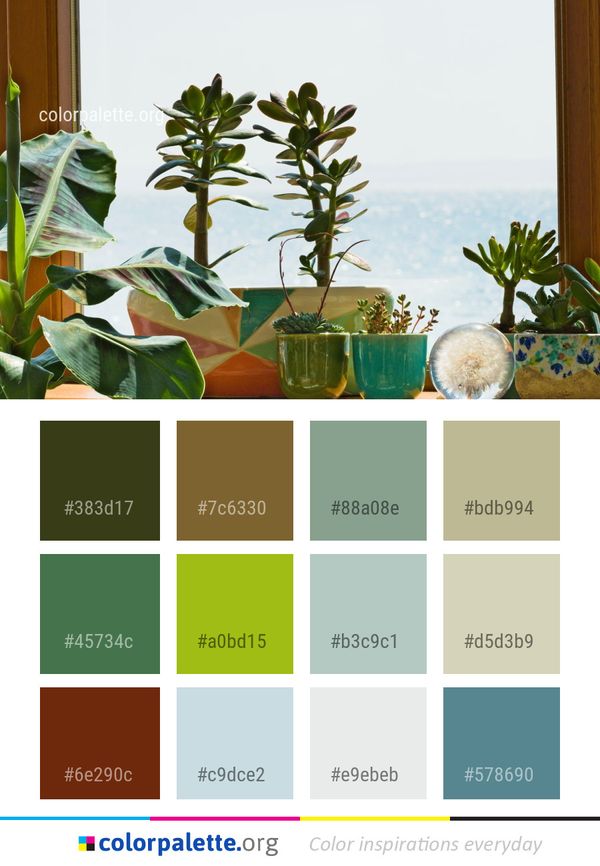 Plant Flowerpot Leaf Color Palette