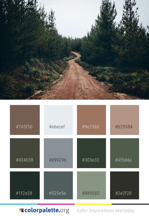 Road Path Tree Color Palette