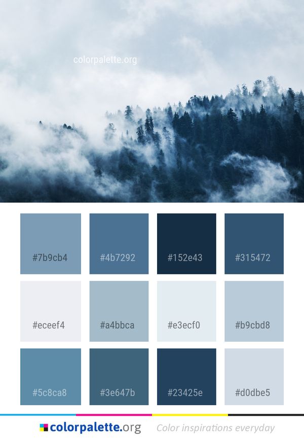 Sky Cloud Tree Color Palette