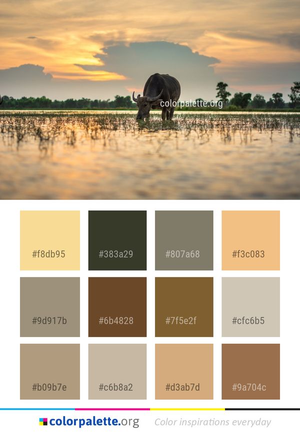 Sky Reflection Cloud Color Palette