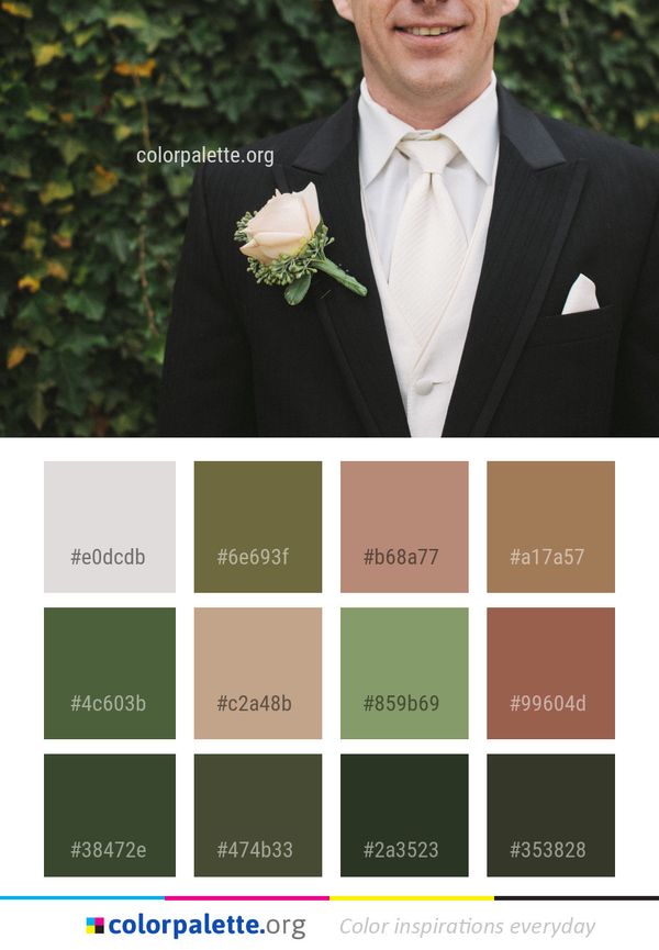 Suit Man Photograph Color Palette
