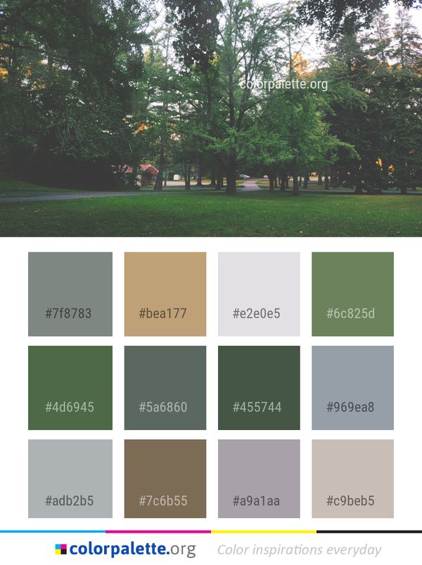 Tree Nature Leaf Color Palette
