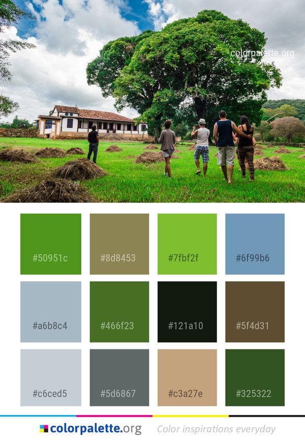 Tree Nature Sky Color Palette