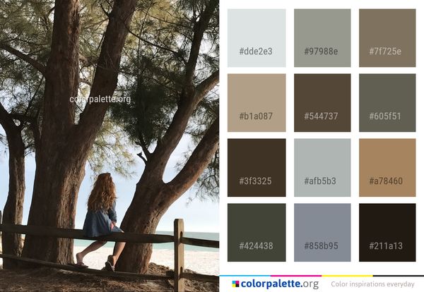 Tree Woody Plant Color Palette