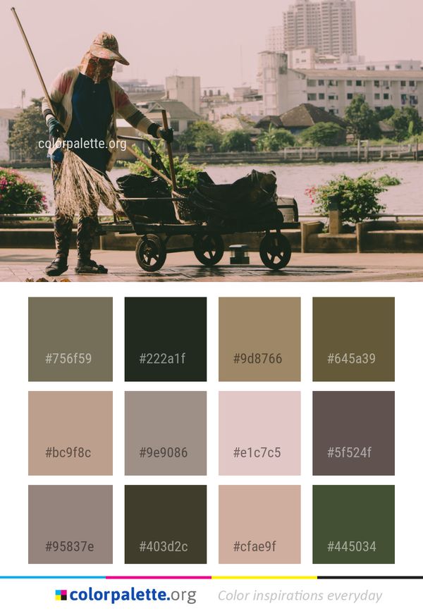Vehicle Tree Plant Color Palette