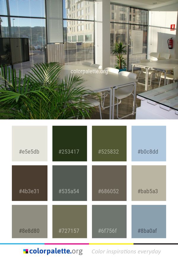Window Real Estate Interior Design Color Palette