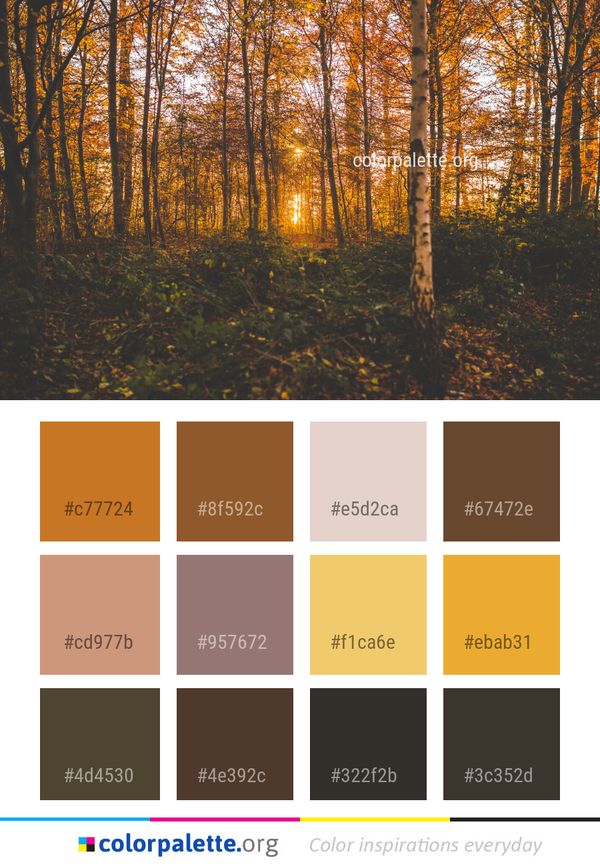 Woodland Nature Ecosystem Color Palette