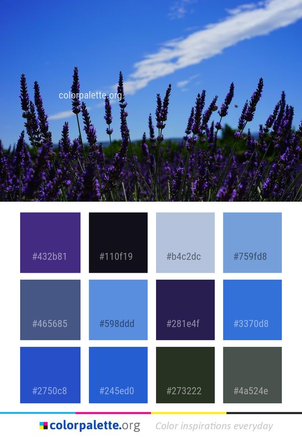 Lavender English Sky Color Palette
