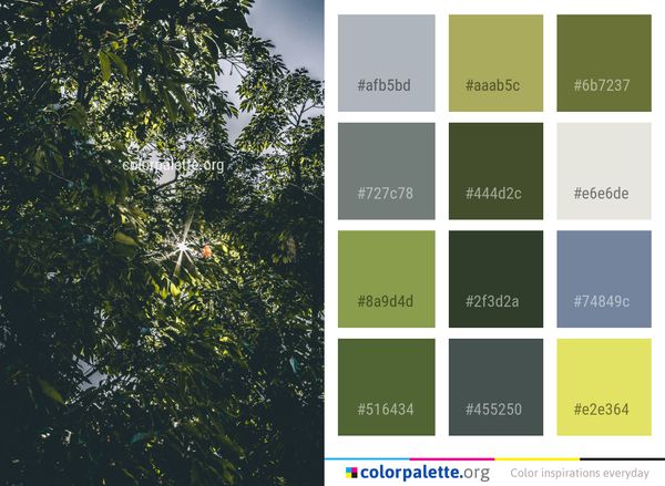 Leaf Nature Vegetation Color Palette
