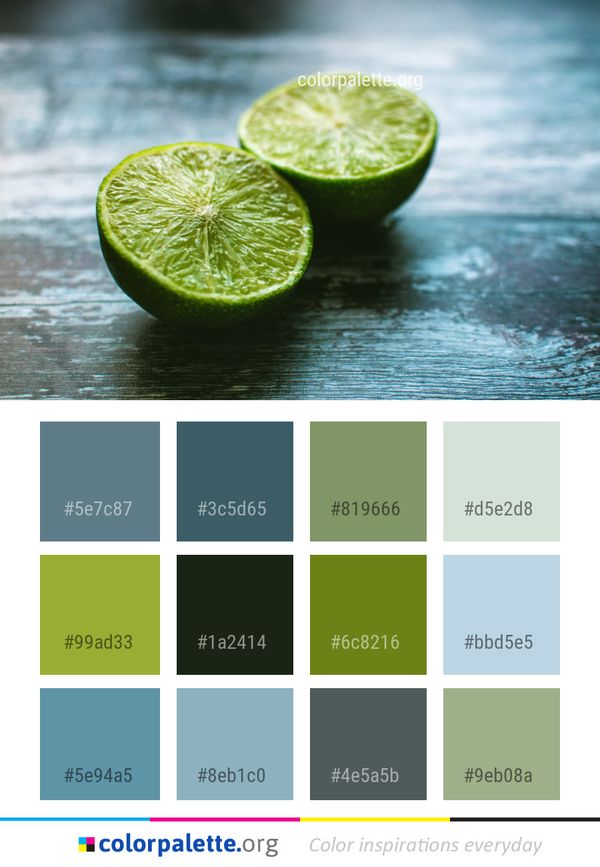 Lime Persian Key Color Palette