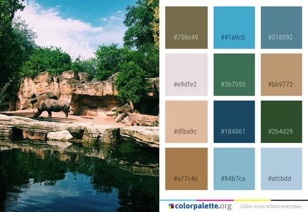 Nature Water Reflection Color Palette