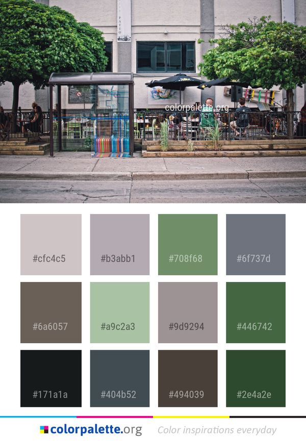 Urban Area Neighbourhood City Color Palette