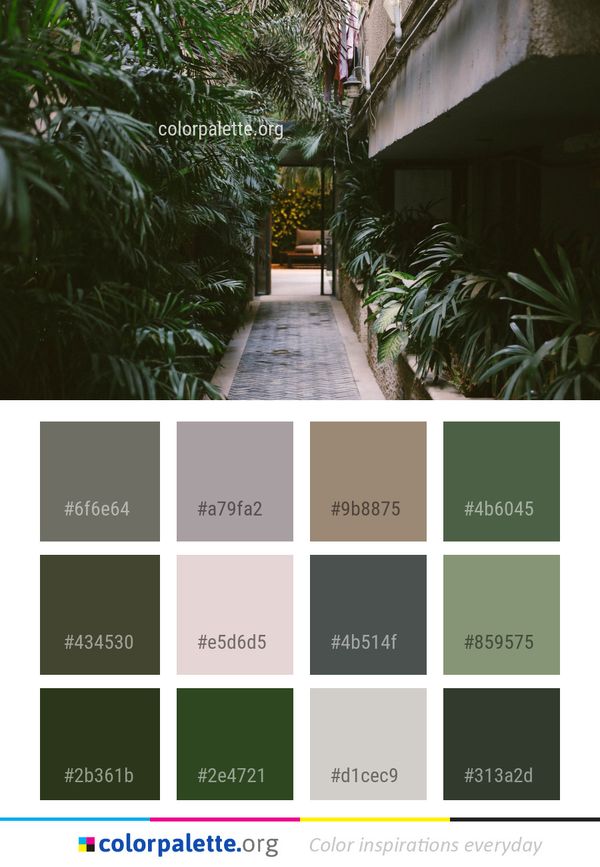 Arecales Tree Plant Color Palette