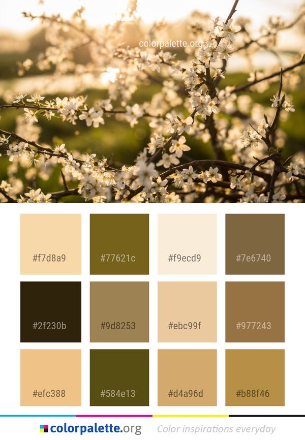 Blossom Branch Spring Color Palette